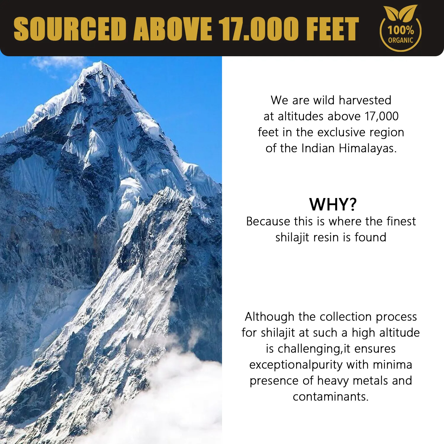 Pure Himalayan Organic Shilaji - огляд і ціна Shilajit Resin Pure