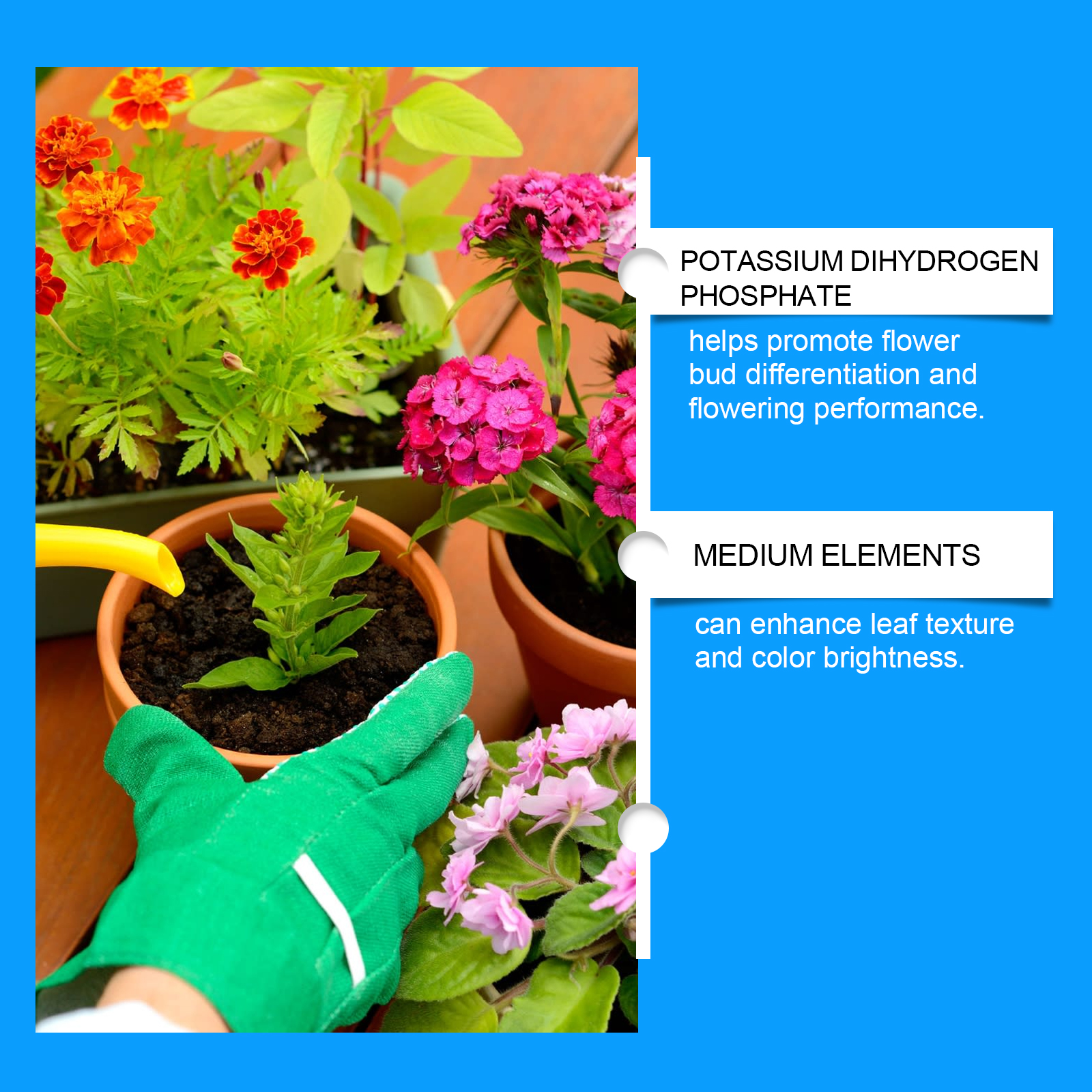 Flower Nutrient Solution Liqui - огляд і ціна Nutrition & Fitness Coaching Fulham